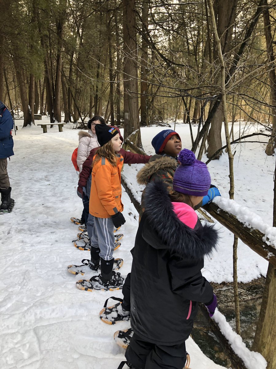 Mrs_K_Noonan's tweet photo. Grade 4’s got lots of fresh air and exercise while snowshoeing @rescatholic #appsmill @grandriverca https://t.co/LZRJ1dNWDU