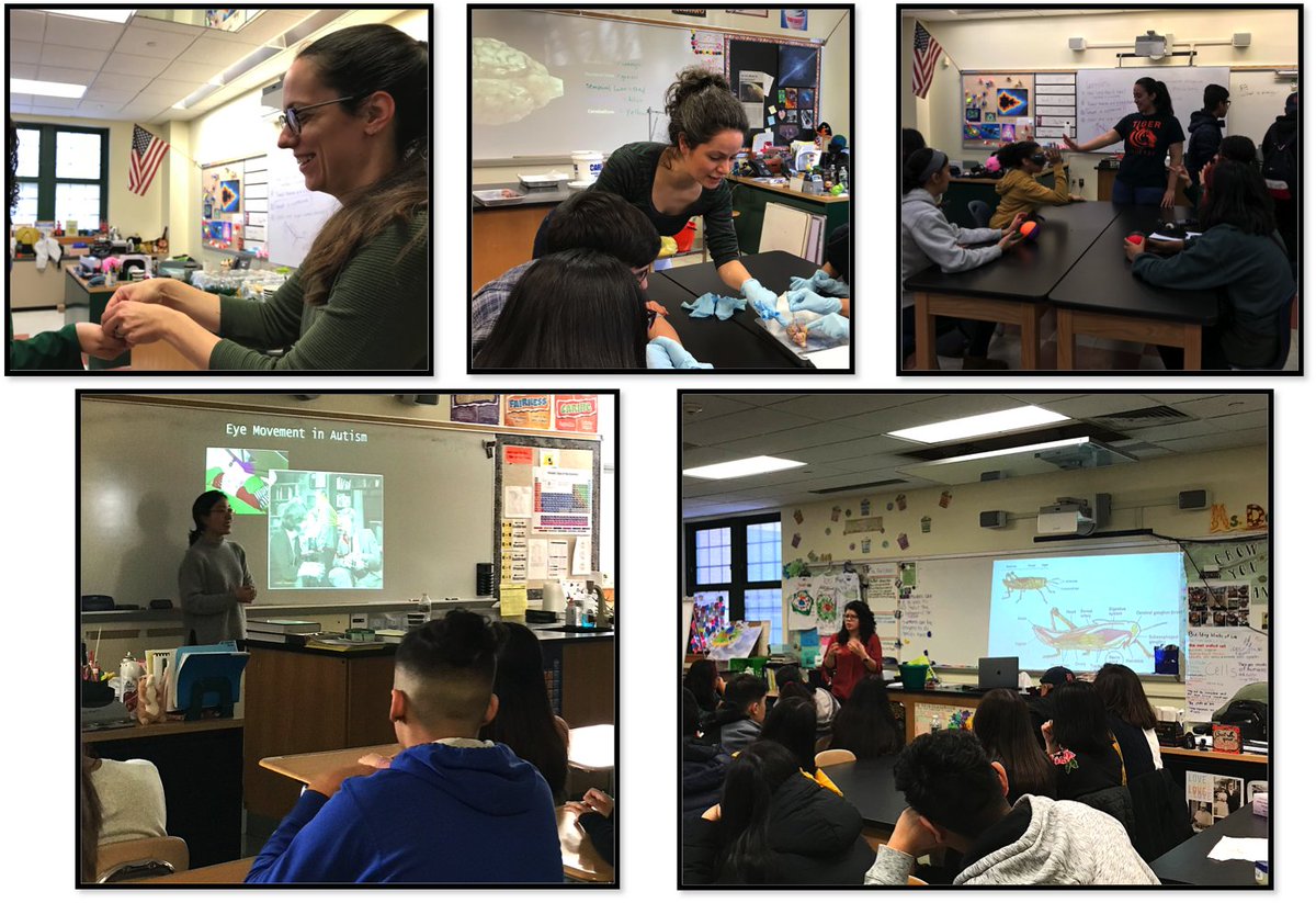 Members of NAPL visited Jose Marti STEM Academy to teach its students about Neuroscience! The students participated in demonstrations on brain anatomy, recording neural data from a cricket, visual and gustatory perception distortion, and eye-tracking. We had a great time!