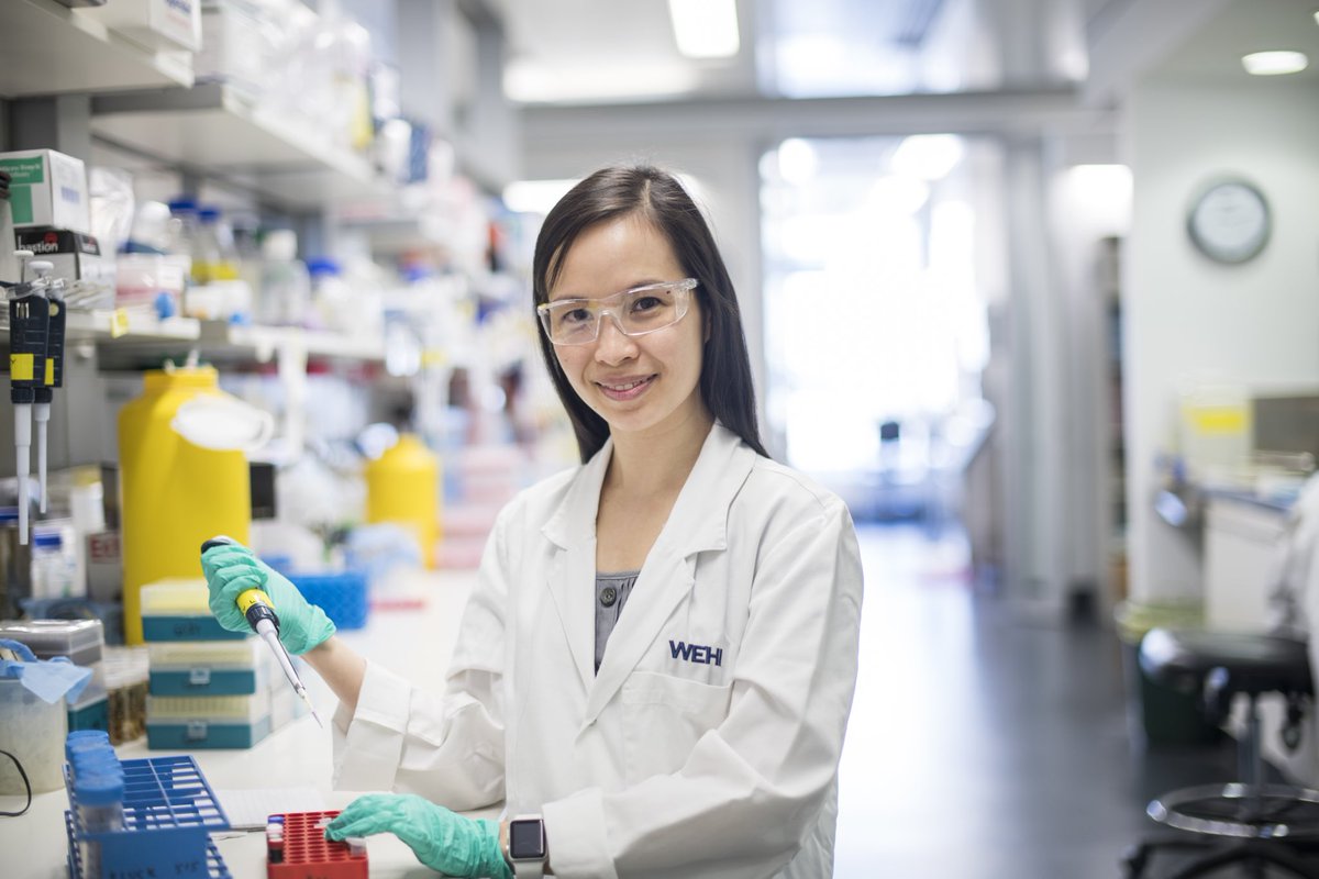 Dr Charis Teh (@charis_teh) on Twitter photo Today I am researching how our immune system fights cancer and infections.
 #SuperstarsofSTEM #science4all #February11 <a href="/Scienceau/">Science & Technology Australia</a> <a href="/WomenScienceDay/">Women in Science Day</a> Today I am researching how our immune system fights cancer and infections.
 #SuperstarsofSTEM #science4all #February11 <a href="/Scienceau/">Science & Technology Australia</a> <a href="/WomenScienceDay/">Women in Science Day</a>