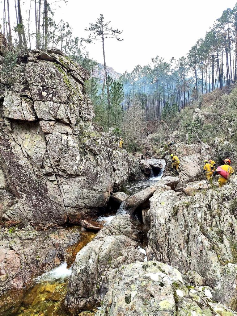 SDIS83's tweet photo. [#RENFORT #CORSE] Engagée sur le secteur avant par le #COS, l'équipe #DIH83 a procédé à des actions de #forestage et au traitement de #fumeroles à l'aide de râteaux et de seaux pompes sur plusieurs kilomètres de #lisière ➡️ un travail fondamental dans la lutte contre les #FDF. https://t.co/LydYh1zSeK