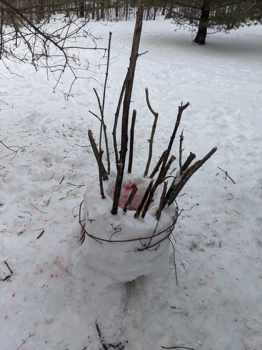HolyNameFiveSix's tweet photo. Out making some Andy Goldsworthy inspired art. Taking advantage of the beautiful weather. #snowstructures @HolyNameFiveSix @alcdsb https://t.co/lXJlfpLsLh