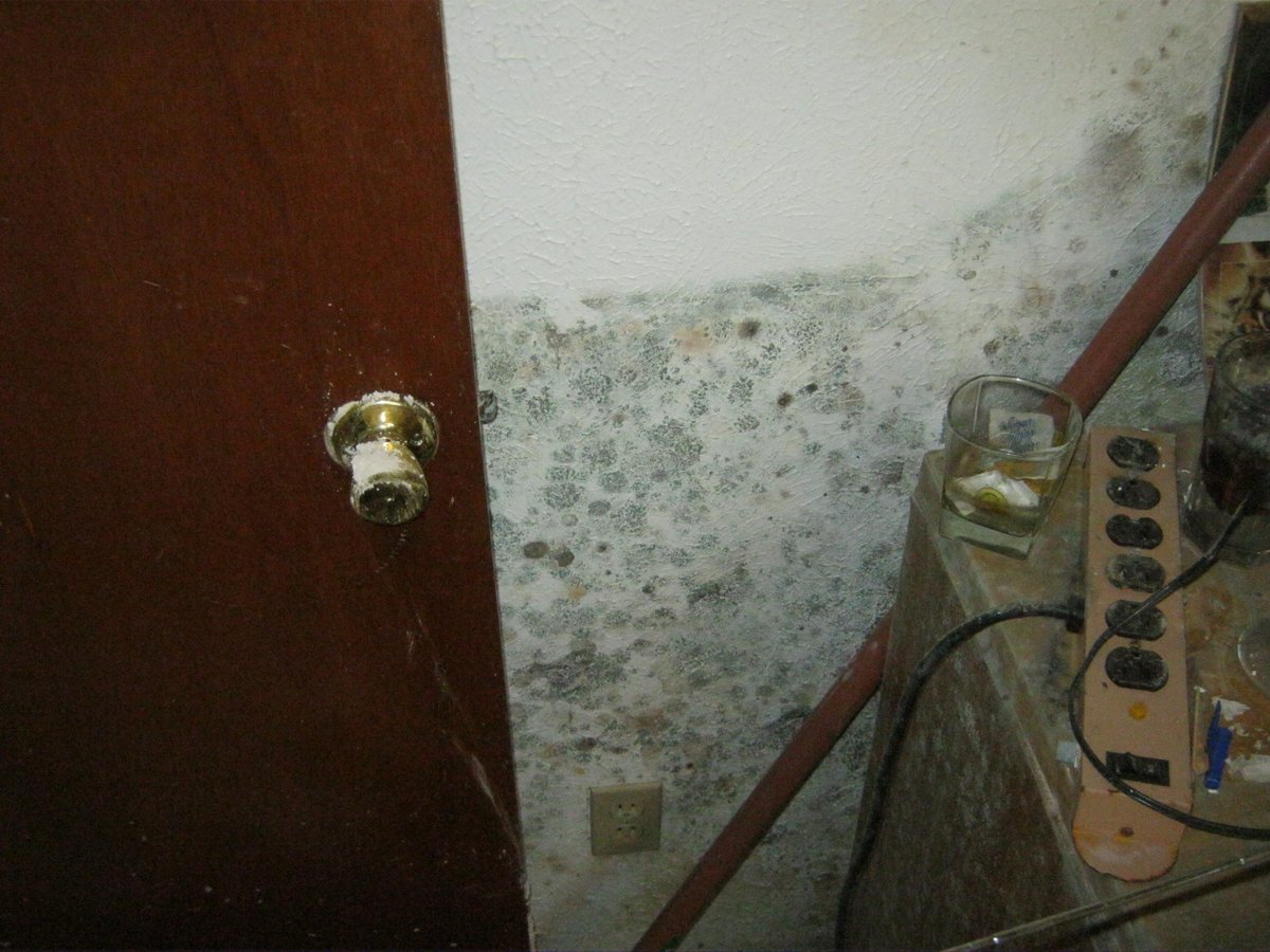 Black mold sickness can cause nasal congestion, headaches, sore throats, rashes, hives, joint pain, fatigue...... mold-answers.com/black-mold-sic…