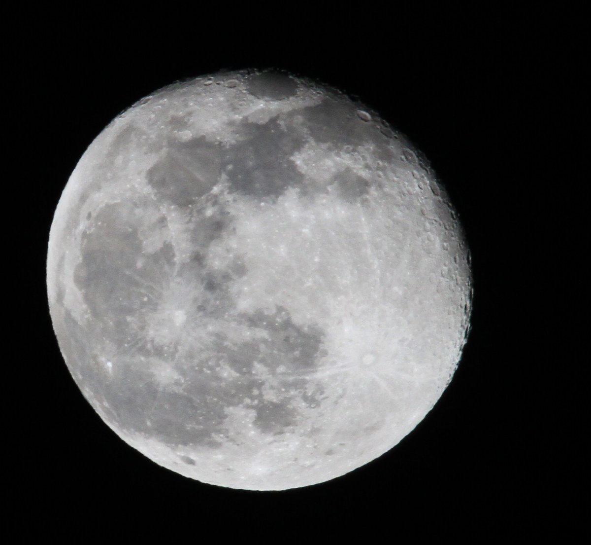 cadders7's tweet photo. Holy 98% illumination ..
#moonytime
#moon
ππππ·β https://t.co/eQZdVOHHGX