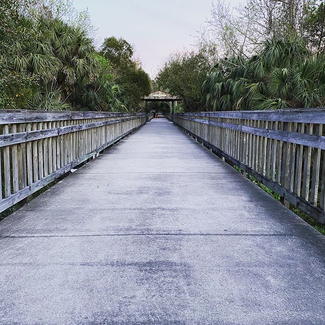 Jodicab22's tweet photo. Keep running they said, it’ll get better they said! LIARS! At least the view is good.🏃🏼‍♀️
.
.
#funeralformyfat #runningsucks #dontlistentothem

📸 https://t.co/Ta1gPWMTrd via https://t.co/5ttQiDWlXB https://t.co/psDVe9ONw0