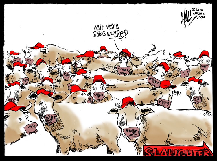 halltoons's tweet photo. Clueless. #totheslaughter #slaughterhouse #makeyourbed @AprilDRyan @maggieNYT @co_rapunzel4 @laloalcaraz https://t.co/5uad3epnHN