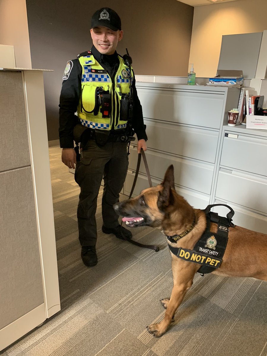 AMAprmaven's tweet photo. Meet Tango our newest #K9 graduate &amp; his partner TSO Ng. Tango, who is a Belgian Malinois turns 2 on Wednesday. He joins Dash on the @GOTransitSSDK9 https://t.co/zY5RUfXYwL