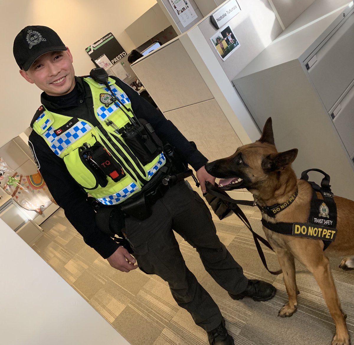 AMAprmaven's tweet photo. Meet Tango our newest #K9 graduate &amp; his partner TSO Ng. Tango, who is a Belgian Malinois turns 2 on Wednesday. He joins Dash on the @GOTransitSSDK9 https://t.co/zY5RUfXYwL