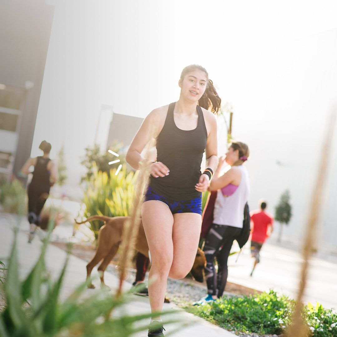 BoxMagicApp's tweet image. ¡Sigue corriendo!

No dejes que tus excusas te alcancen 💪✨

#boxmagic 
#centrodeportivo
#gym
#crossfit 
#fitnesscenter 
#fitnesssoftware  
#fitnesslatam
#fitnessmotivation
#workout
#entrenamiento
#funcional
#emprendedor