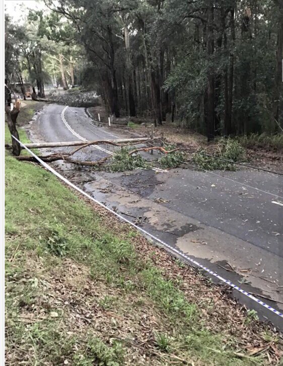 Ausgrid tweet media