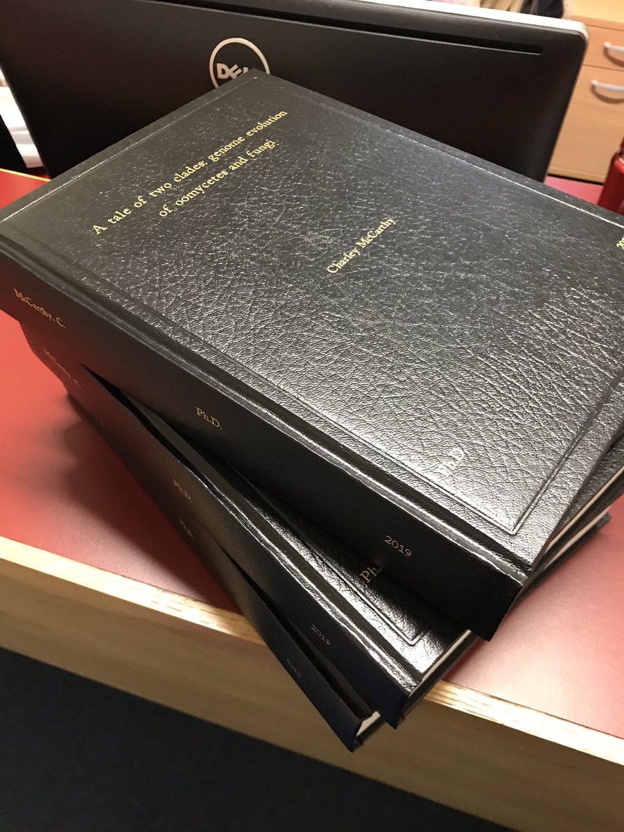 submitted the big boys last friday 🐳