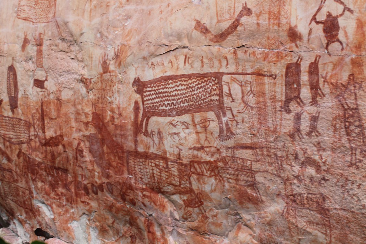 ¿Cómo puedes conocer y a la vez proteger Chiribiquete? Con la compra del libro “Chiribiquete: la maloka cósmica de los hombres jaguar”. Este aporte permitirá la inversión en programas de preservación de este tesoro de la humanidad. #GuardianesDeChiribiquete.
Foto: Carlos Páez