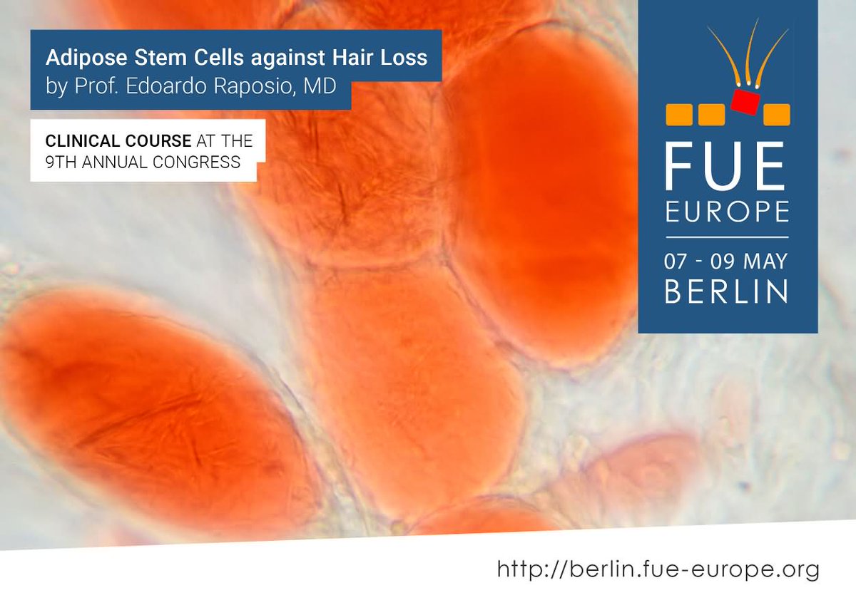 FUE Europe (@fueeurope) / Posts / X