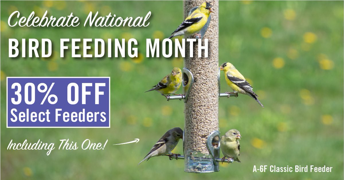 Hashtag Birdfeeding Na Twitteru