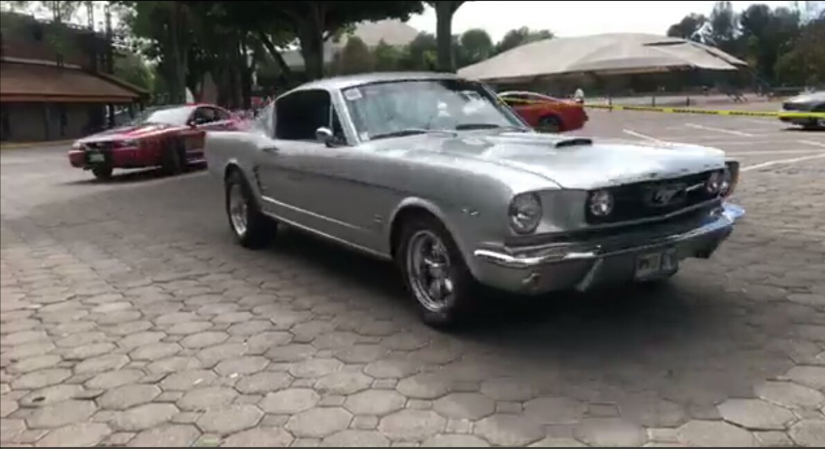 FlavioFl801's tweet photo. Algunos ejemplares vistos en la 4ta concentración nacional mustang realizada en Tlaxcala México https://t.co/PRuuPP2H8M