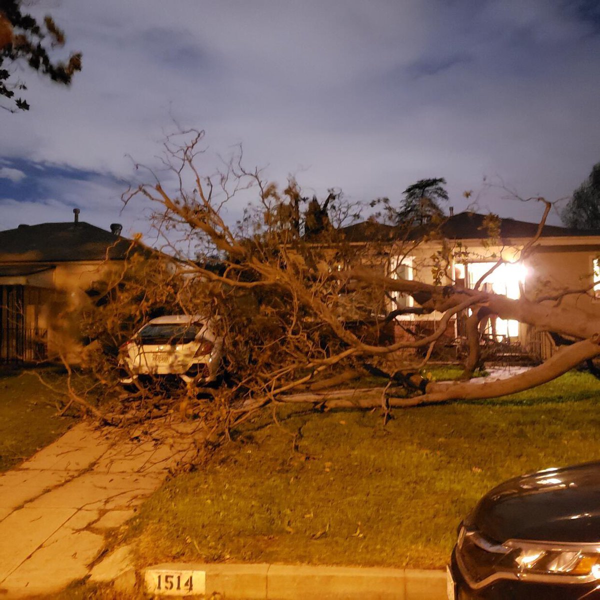 brian redban tweet media