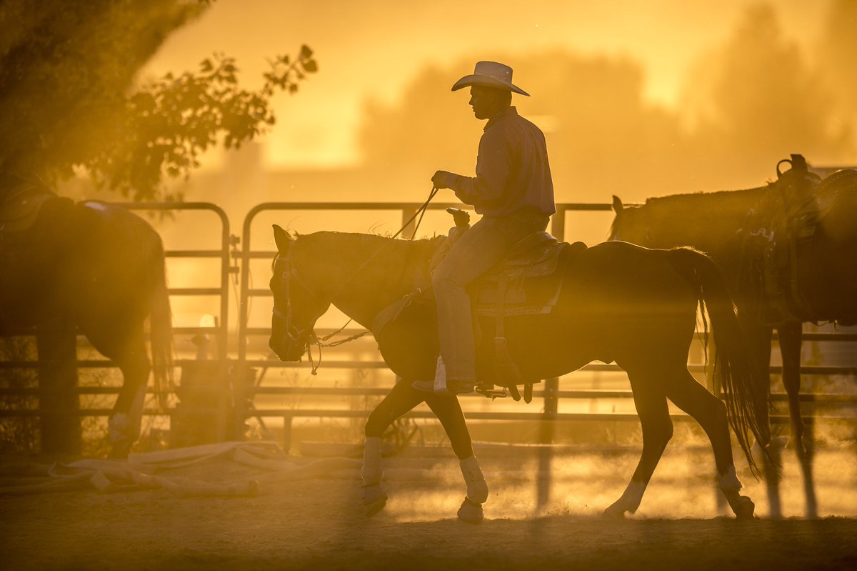 New visual gallery up of UVU Rodeo! Take a look and watch for more great rodeo images this coming season. Don’t forget to subscribe to our page to see the most recent visual galleries from UVU Photo. #toldwithexposure uvuphoto.exposure.co/rodeo