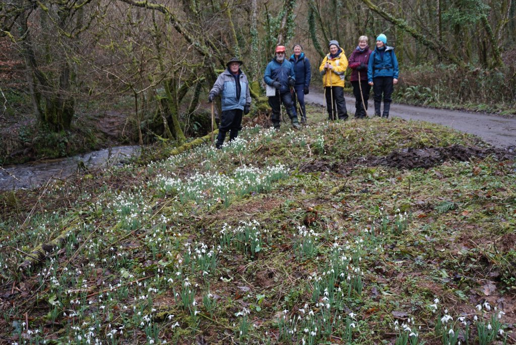 HalseRingers's tweet photo. First a quarter of Snowdrop Treble Bob at Cutcombe and then a walk in Snowdrop Valley..Happy Days! #bellringing #Exmoor https://t.co/IlGe4DZmGE