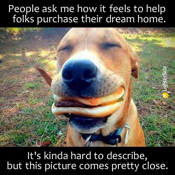 DownHomeAZ's tweet image. Nothing makes us happier than helping you find your perfect home! #helpingothers #findingtheperfecthome #downhomeaz