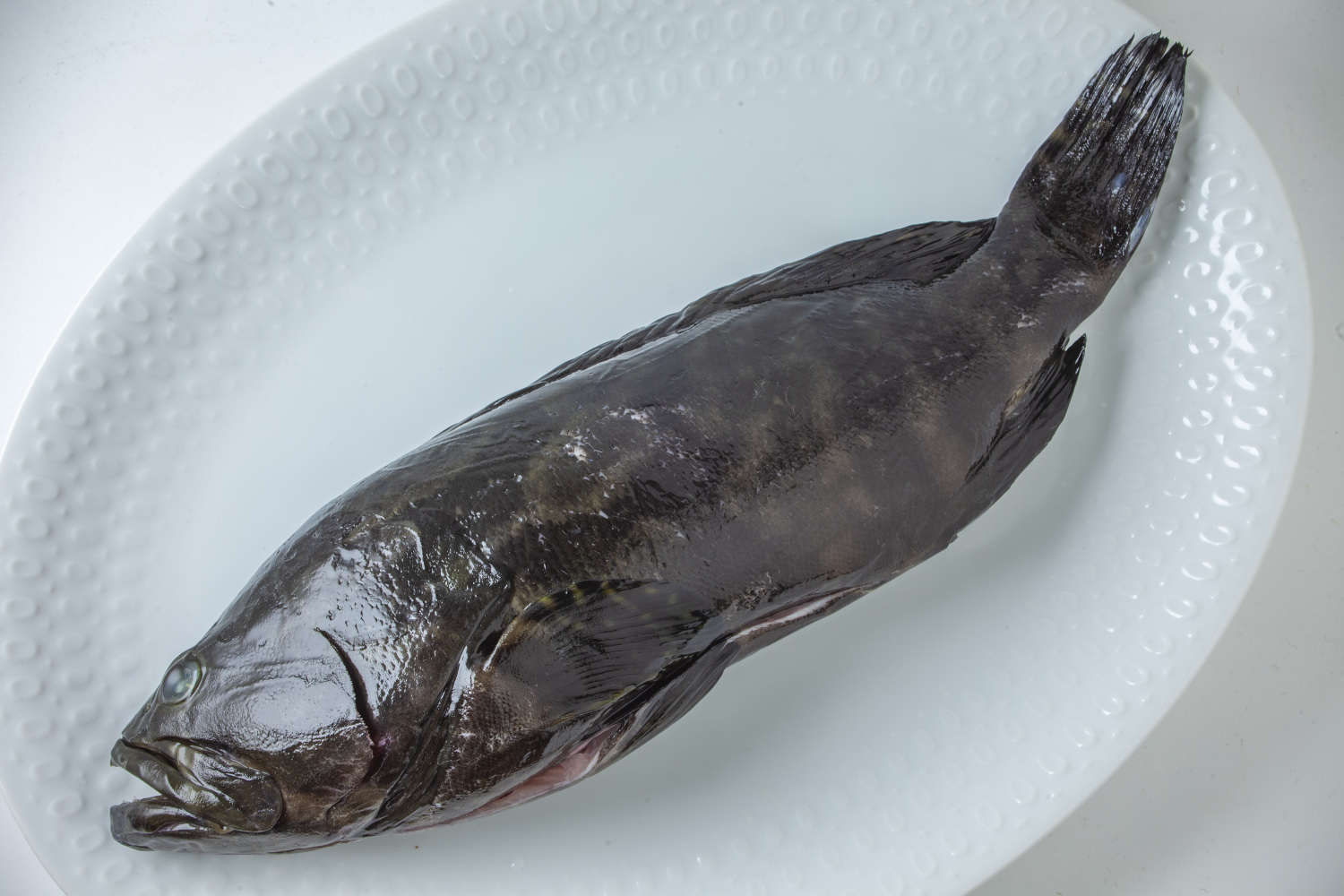 Masahito Sato 中華風蒸し魚 珍しい魚を見つけてしまった ちょっと高かったけどこの機会を逃したら と思い買ってしまった それほど魅力的だった魚とはハタ 英語でgrouper 脂がのっていて身はほっこり柔らか 最高に美味かった 中華風 蒸し