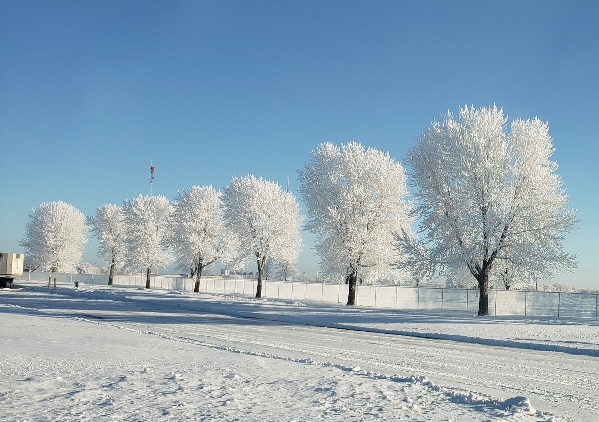 Cold Frosty Morning | Melvin Wine | Roane Records, image size:1200x845