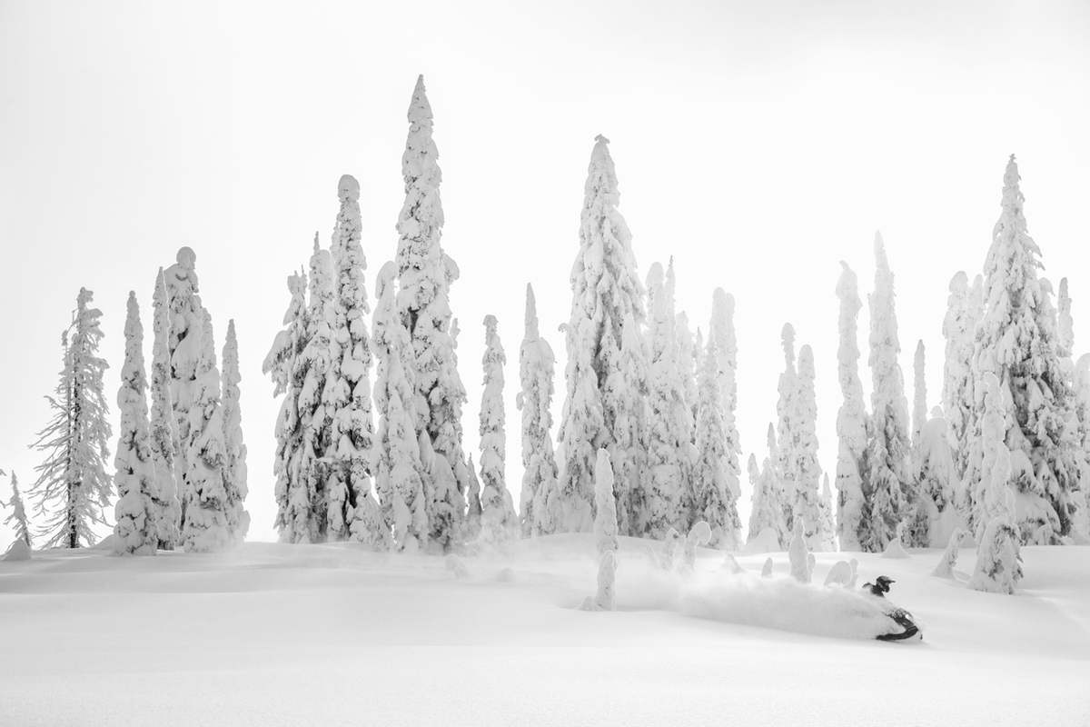 BRPnouvelles's tweet image. Qui dit tempête de neige dit sortie en Ski-Doo! Profitez-en pour sortir découvrir des sentiers inexplorés en toute sécurité. #ThatSkiDooFeeling