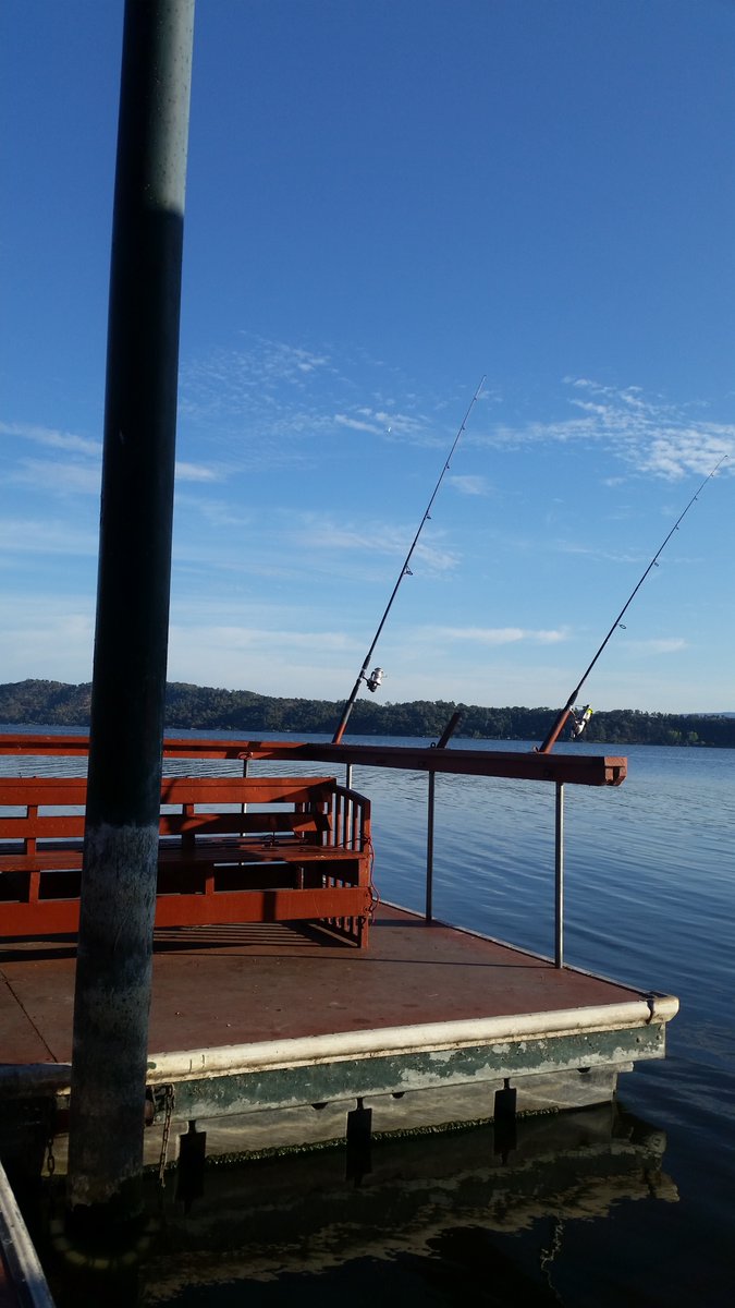 MatthewsDevon's tweet image. 