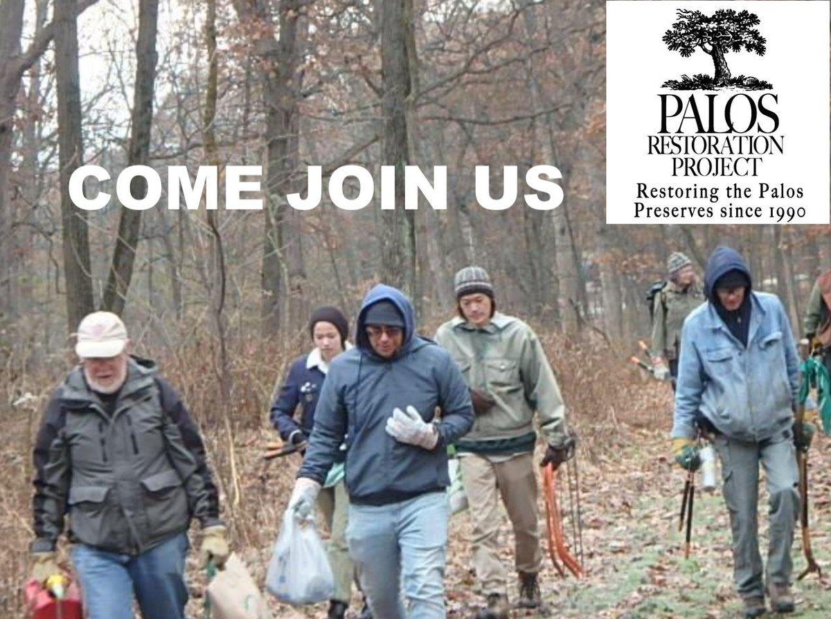 Come Join Us This Weekend…

Feb 15, 2020 9:00 am - 12:00 pm
Cap Sauers Moraines
Meet at driveway of old FP watchman's house, on Ford Road, 0.8 miles north and west from intersection of Wolf Road and McCarthy Road.