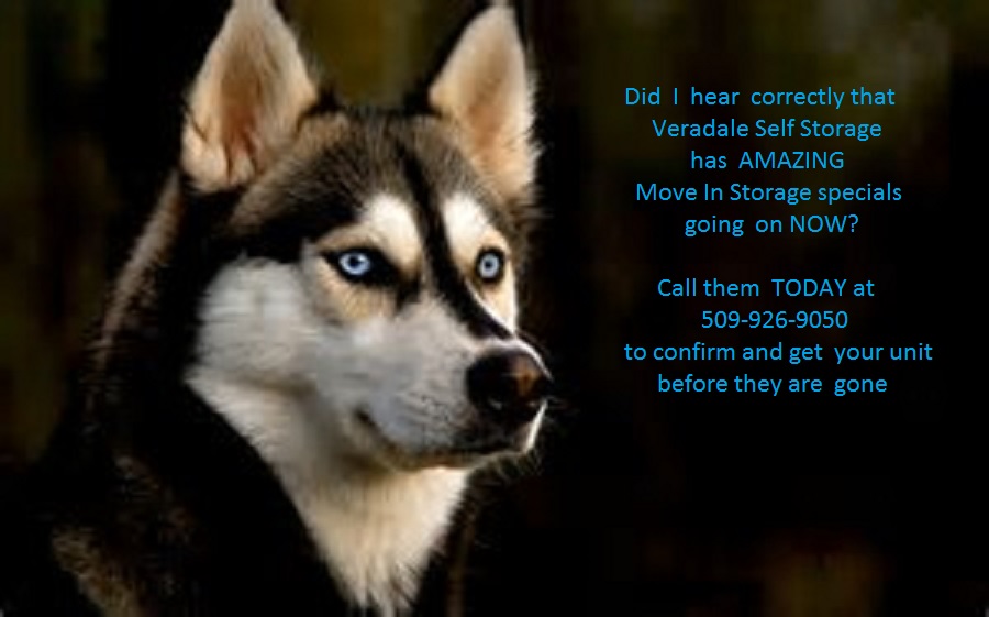 VeradaleStorage's tweet photo. You heard right @VeradaleStorage does have AMAZING #storage specials going on NOW in #spokane #Veradale 509-926-9050 #spokanestorage #selfstoragee https://t.co/AJkEYWgUz1