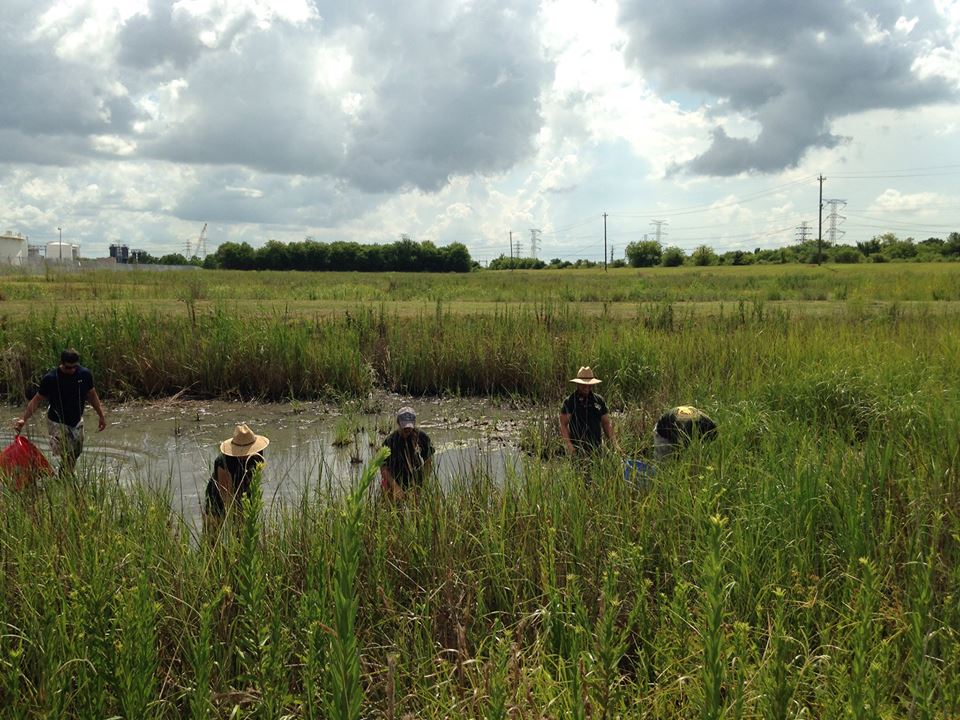 TheCorpsNetwork's tweet image. &quot;What you bring makes the Fish &amp;amp; Wildlife Service better and stronger.&quot; Thank you Margaret Everson of @USFWS  for joining today&apos;s discussion. In 2019, Corps restored 1.4 million acres of habitat. We look forward to partnering on more opportunities #CorpsWork #21CSC
