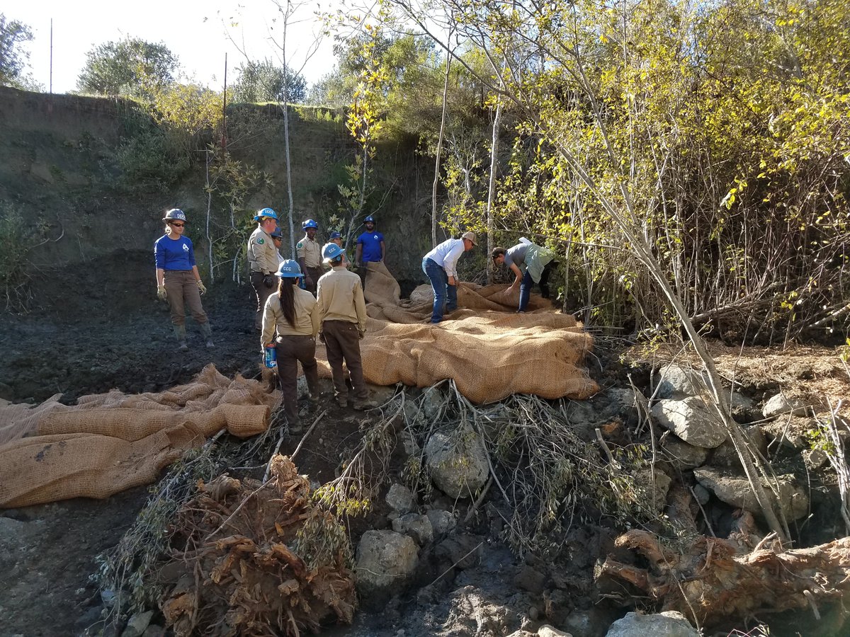TheCorpsNetwork's tweet image. &quot;What you bring makes the Fish &amp;amp; Wildlife Service better and stronger.&quot; Thank you Margaret Everson of @USFWS  for joining today&apos;s discussion. In 2019, Corps restored 1.4 million acres of habitat. We look forward to partnering on more opportunities #CorpsWork #21CSC