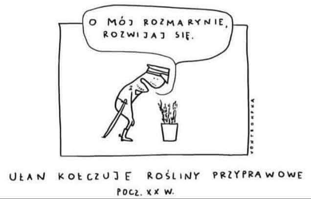 #coaching  #coach #terapia #uzaleznienie #biznes #korpo 

Taka sytuacja... kołczingowa  ;-)