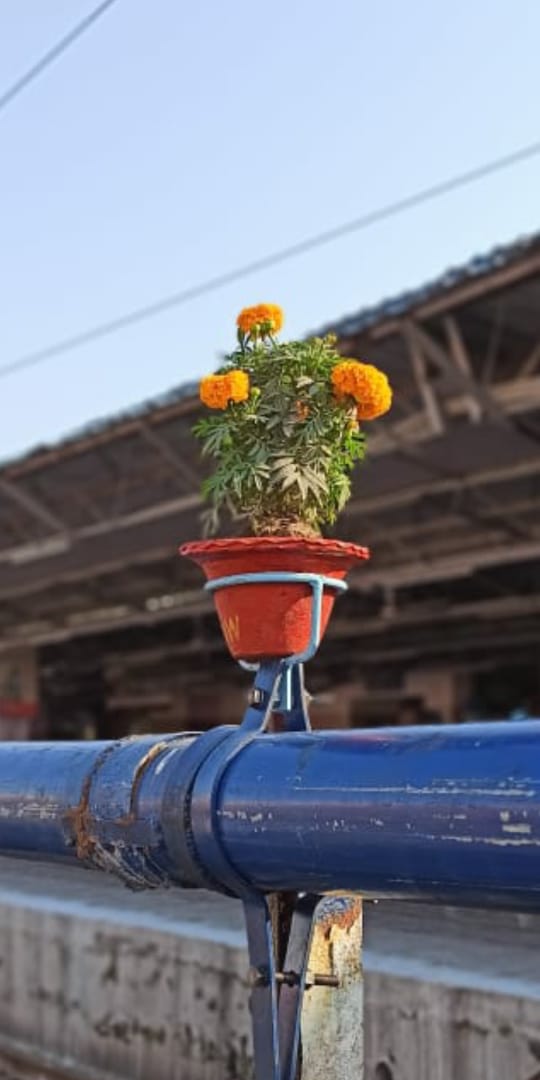 RailMinIndia's tweet image. Plantation done on hydrant pipe of Platform no. 2 in Gorakhpur Railway station.

100 flowering pots with support structure were made locally incurring minimum expenditure and installed on hydrant pipe used for watering of coaches.