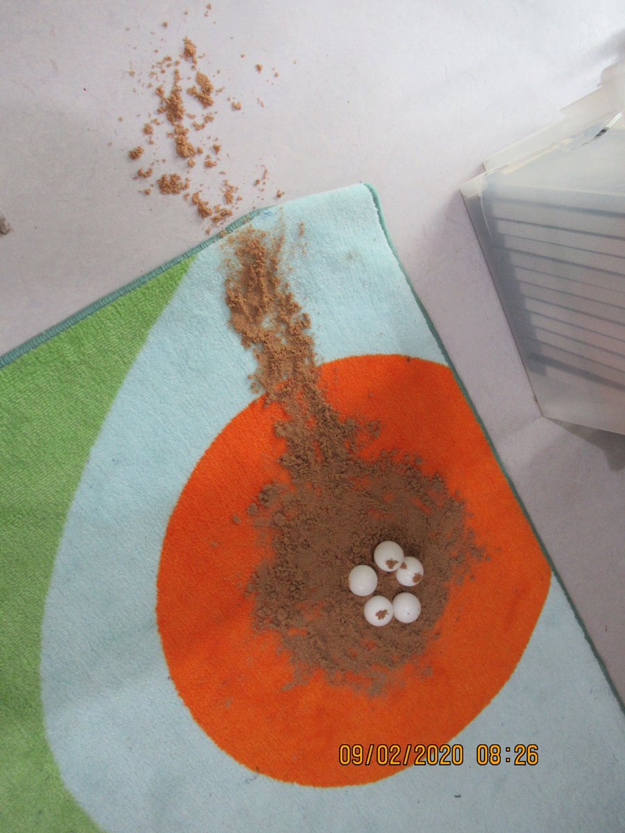 FS1 | Dubai British School tweet media