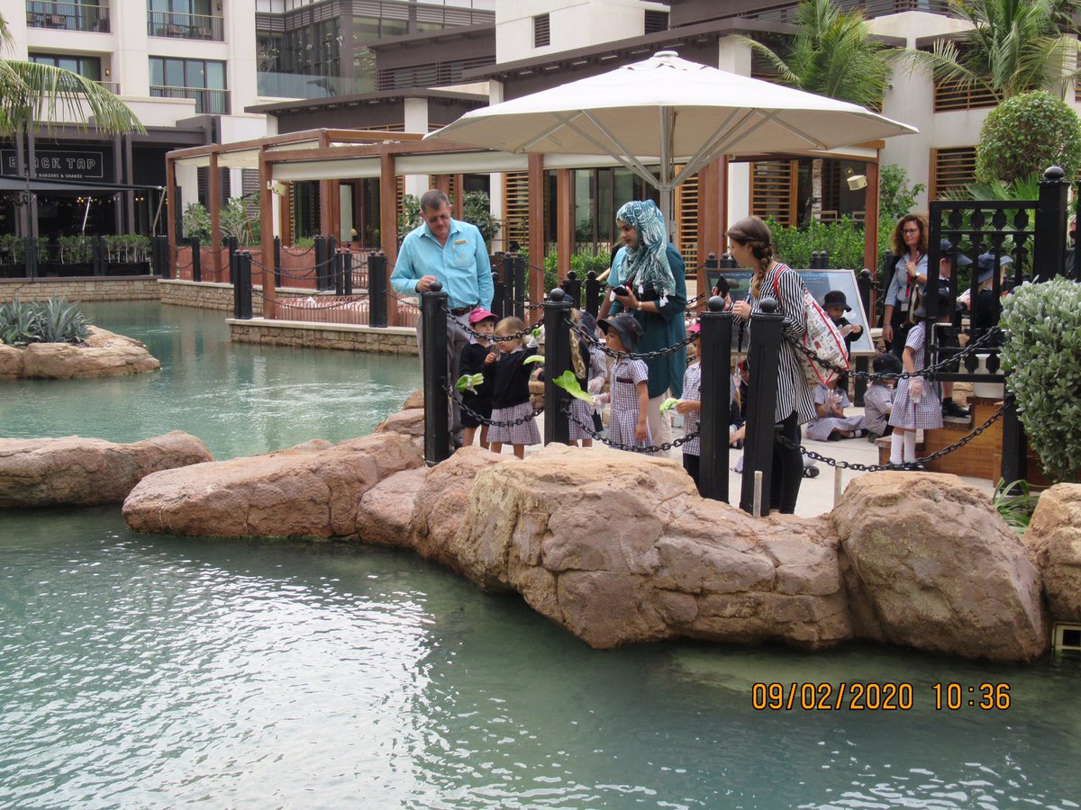 FS1 | Dubai British School tweet media