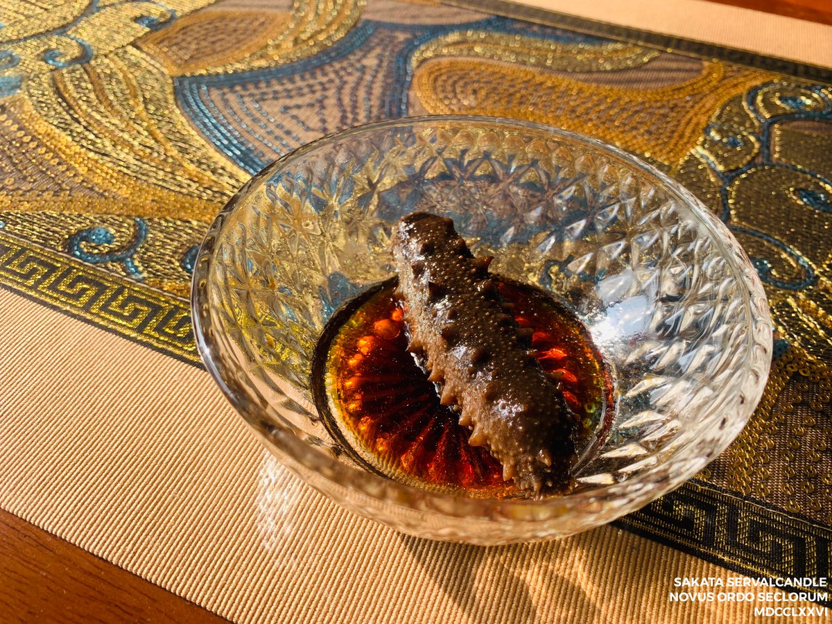 𝚂𝚎𝚛𝚟𝚊𝚕𝙲𝚊𝚗𝚍𝚕𝚎 Sur Twitter 在吃今日份的小海参时突然想起来 咱喵最初想吃海参好像就是因为它长得很可爱 Z 大猫猫要当海参猫