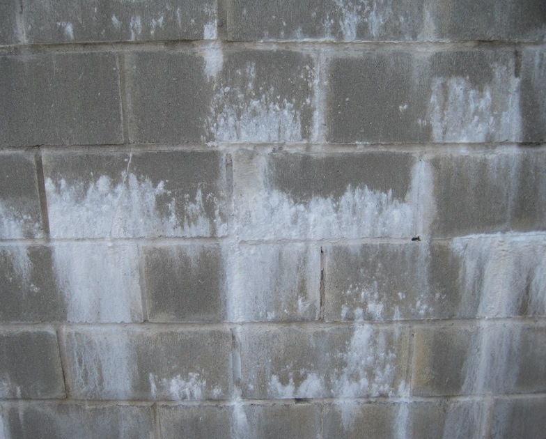 moldadvisor's tweet photo. How to know if you have efflorescence or mold growing in your home. Pictures, information, dangers of mold https://t.co/BIKiMjCi9r https://t.co/YVMTDUH3qF
