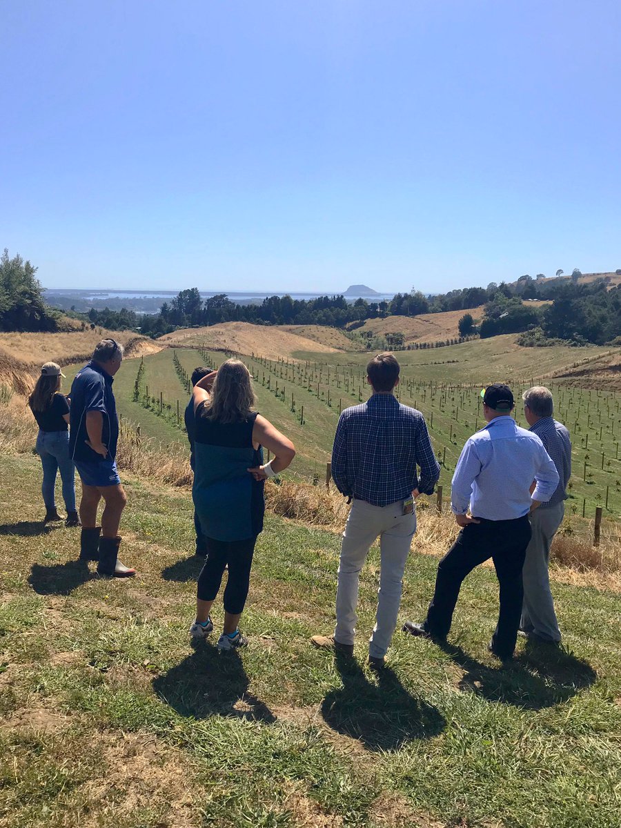 KateDaly03's tweet photo. On tour... An Orchard with a view ๐ Robertson Gold Orchard newly planted Avos ๐ฅ #fruitfedsupplies #PGGWrightson #Corteva https://t.co/Ad2fryORvk