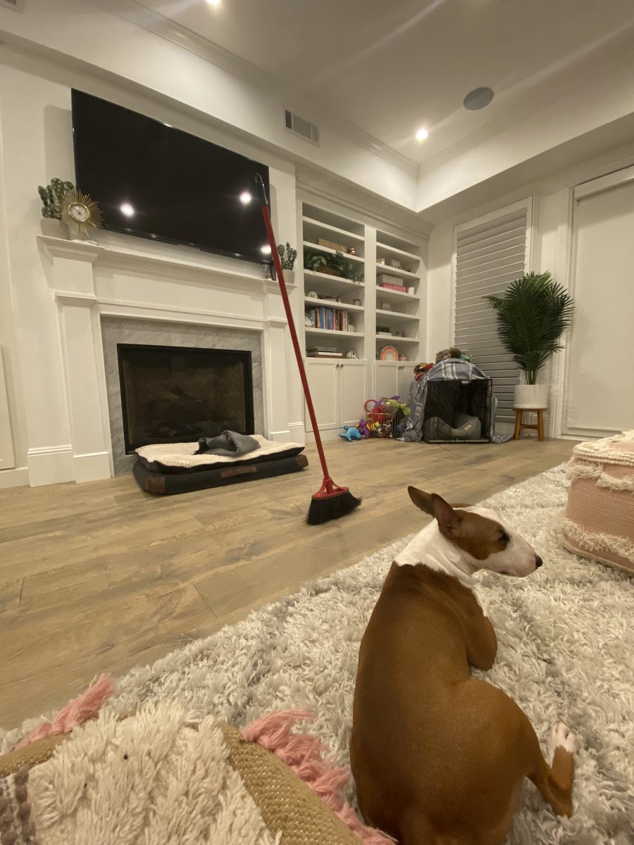 laurDIY's tweet photo. AND THAT’S ON GRAVITATIONAL PULL https://t.co/d0sevlh0KK