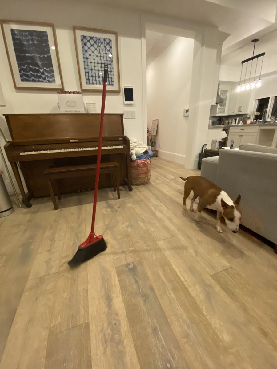 laurDIY's tweet photo. AND THAT’S ON GRAVITATIONAL PULL https://t.co/d0sevlh0KK