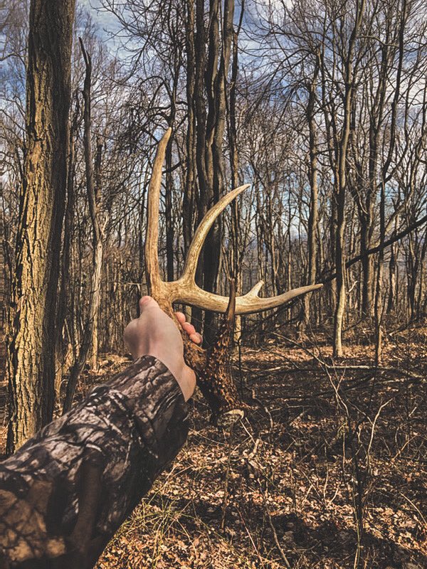 Brown GOLD 🦌⛰
-
Have you found any sheds this year yet?!
-
Photo: Prostaffer Cody Leonard