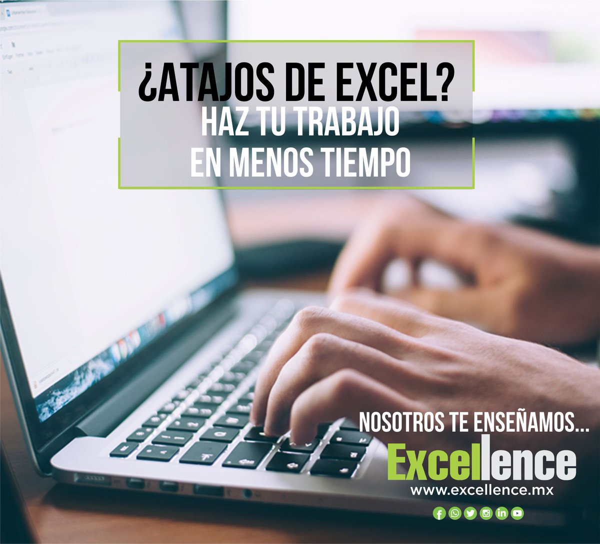 Excellence (@excellence_mx) / Posts / X