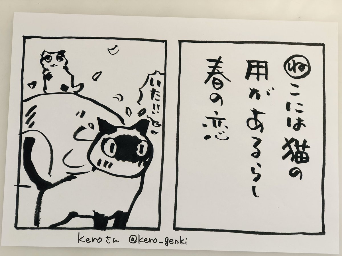 おはようございます
今日のカルタは
kero @kero_genki さんの作品です
(ありがとうございます?)
外に出た瞬間、春を感じる朝があります
恋をしていた春を思い出します
25歳くらいまでは、春は
空気にも恋をしていた気がするのです
今日
ご無事で
#夜廻り猫