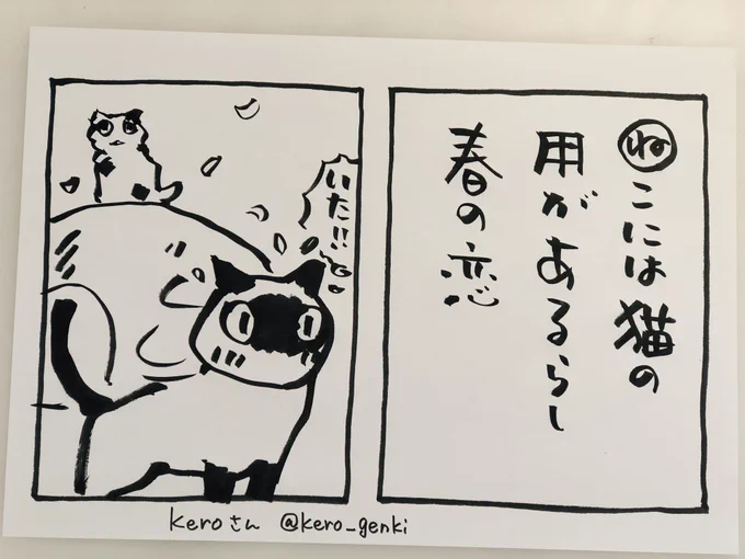 おはようございます

今日のカルタは
kero @kero_genki さんの作品です
(ありがとうございます?)

外に出た瞬間、春を感じる朝があります
恋をしていた春を思い出します
25歳くらいまでは、春は
空気にも恋をしていた気がするのです

今日
ご無事で

#夜廻り猫 
