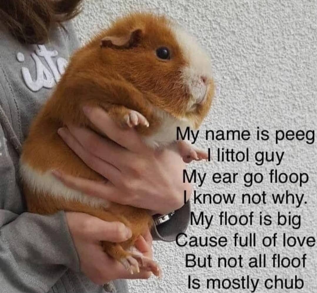 steemfunk (@thatmadmidget) on Twitter photo 