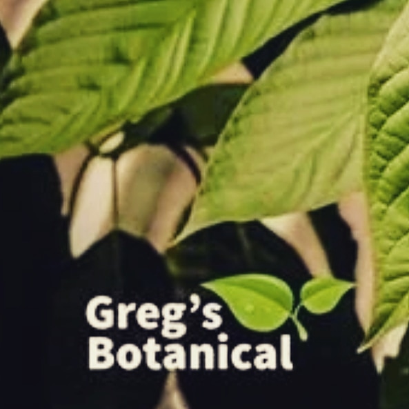 TeaIndo's tweet image. Don't forget to check out the Botanical Boost at Greg's Botanical. 

#wwwgregsbotanical #botanicalboost