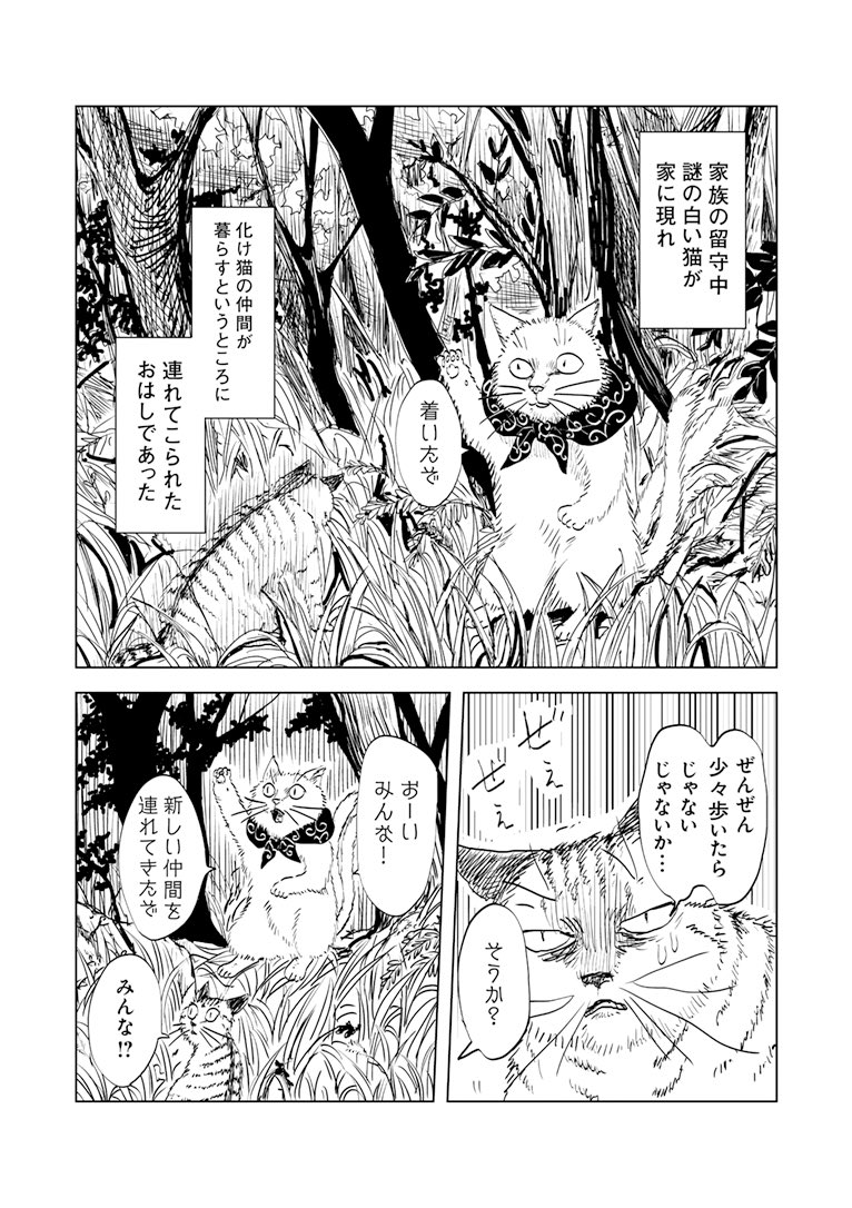 https://t.co/SKmGitCh9q #スキマで漫画 #苦悩化け猫おはし小話集
いえでの巻、更新されてました!
今までで1番画面密度高い回です。よろしくお願いします。 