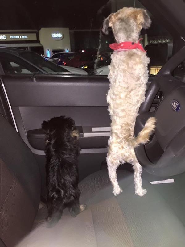 SPLMunch's tweet image. Throw back to when I was very smol 🤗