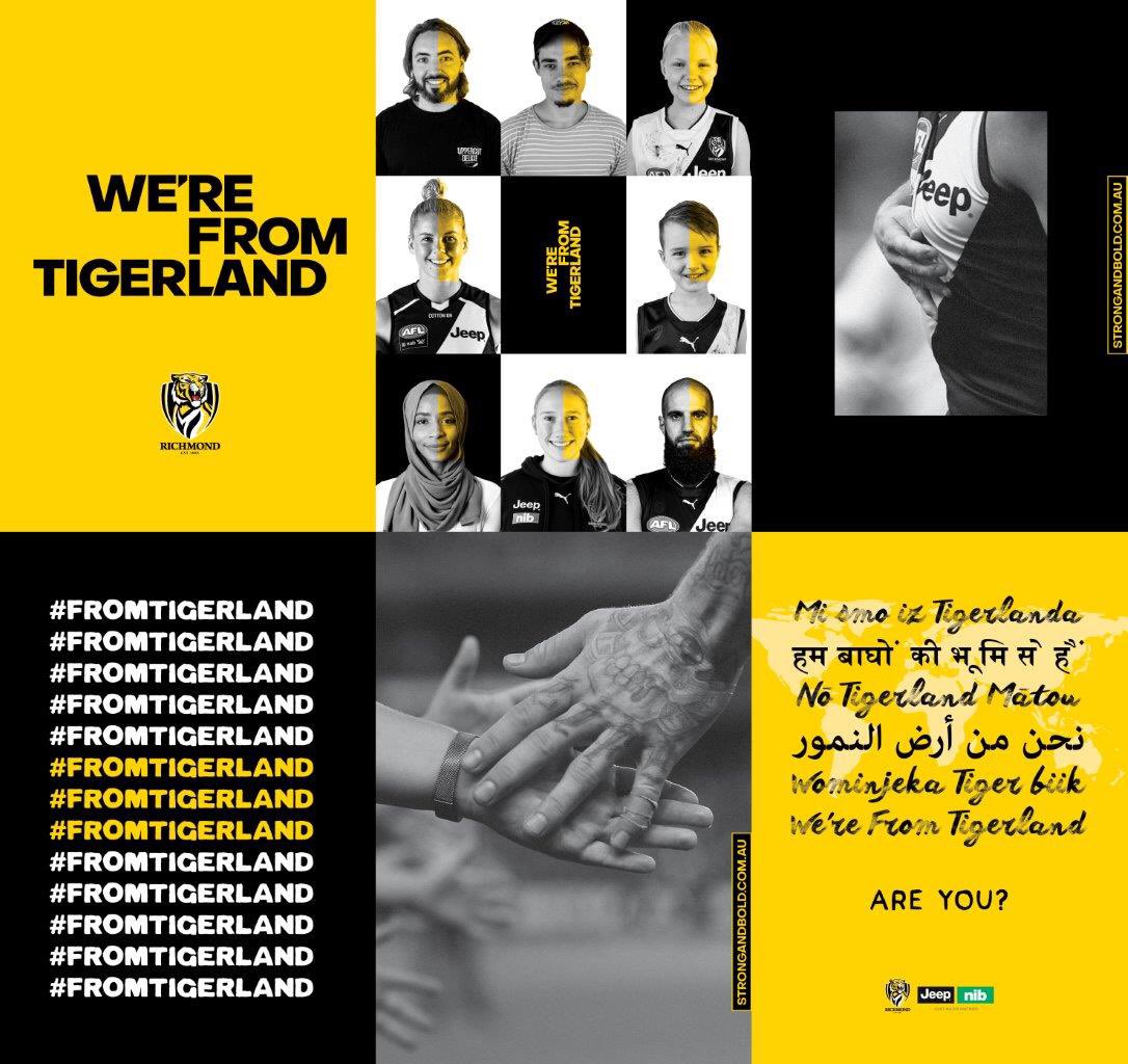 brendon_gale's tweet photo. #fromtigerland https://t.co/dVFrS2lF7Z
