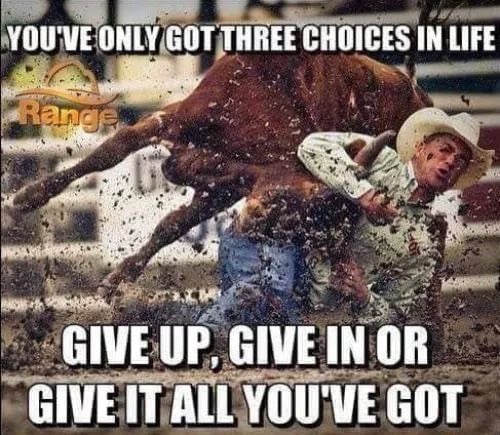 Carter VanDenBerg (@carterv_7) on Twitter photo 