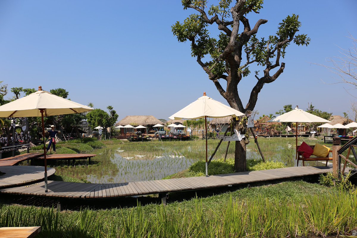 vittawat001's tweet photo. สถานที่ชิวแห่งใหม่ Jungle de’cafe  บ้านถวาย เชียงใหม่ 🌾🌾🌾#reviewchiangmai #ReviewThailand https://t.co/4qlFKcYpQ1